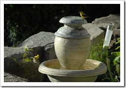 Garden Birdbath